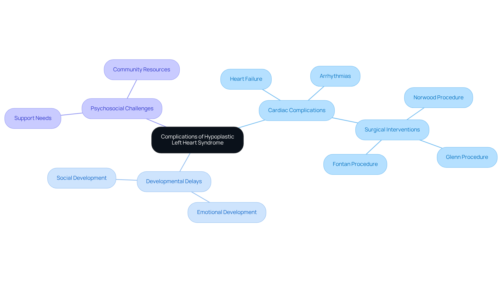 The central node represents the main topic, while the branches show different areas of concern. Each sub-branch provides more detail about specific risks and challenges, helping families understand the complexities of managing HLHS. The central node represents the main topic, while the branches show different areas of concern. Each sub-branch provides more detail about specific risks and challenges, helping families understand the complexities of managing HLHS.