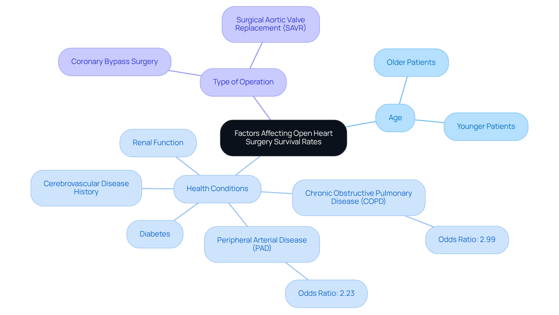 The central node represents the main topic, while the branches show different factors that can affect survival rates. Each color-coded branch helps you see how age and health conditions relate to surgical outcomes.