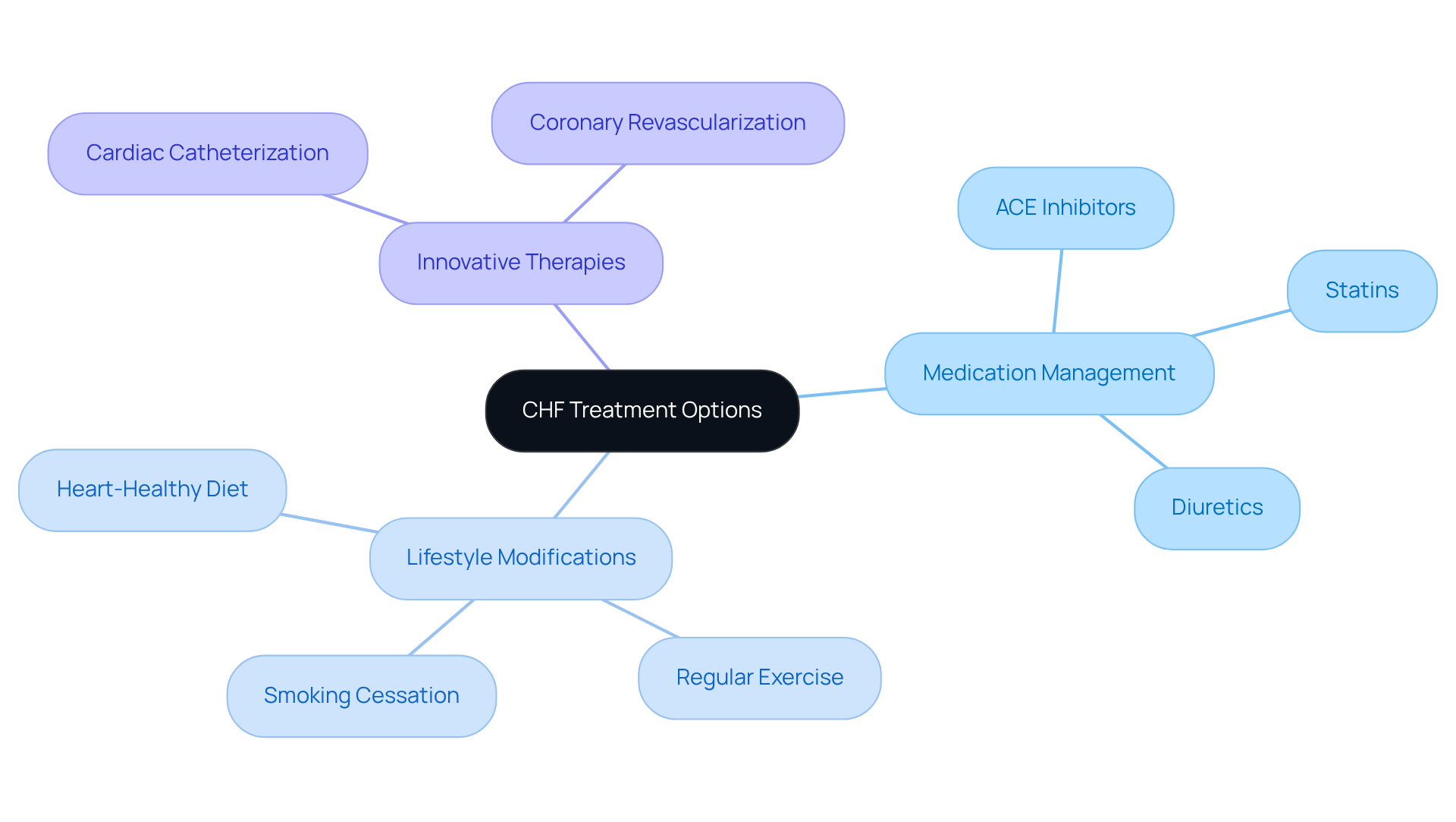 The central node represents the overall treatment for CHF, while the branches show specific services and approaches. Each color-coded branch helps you quickly identify different aspects of care.