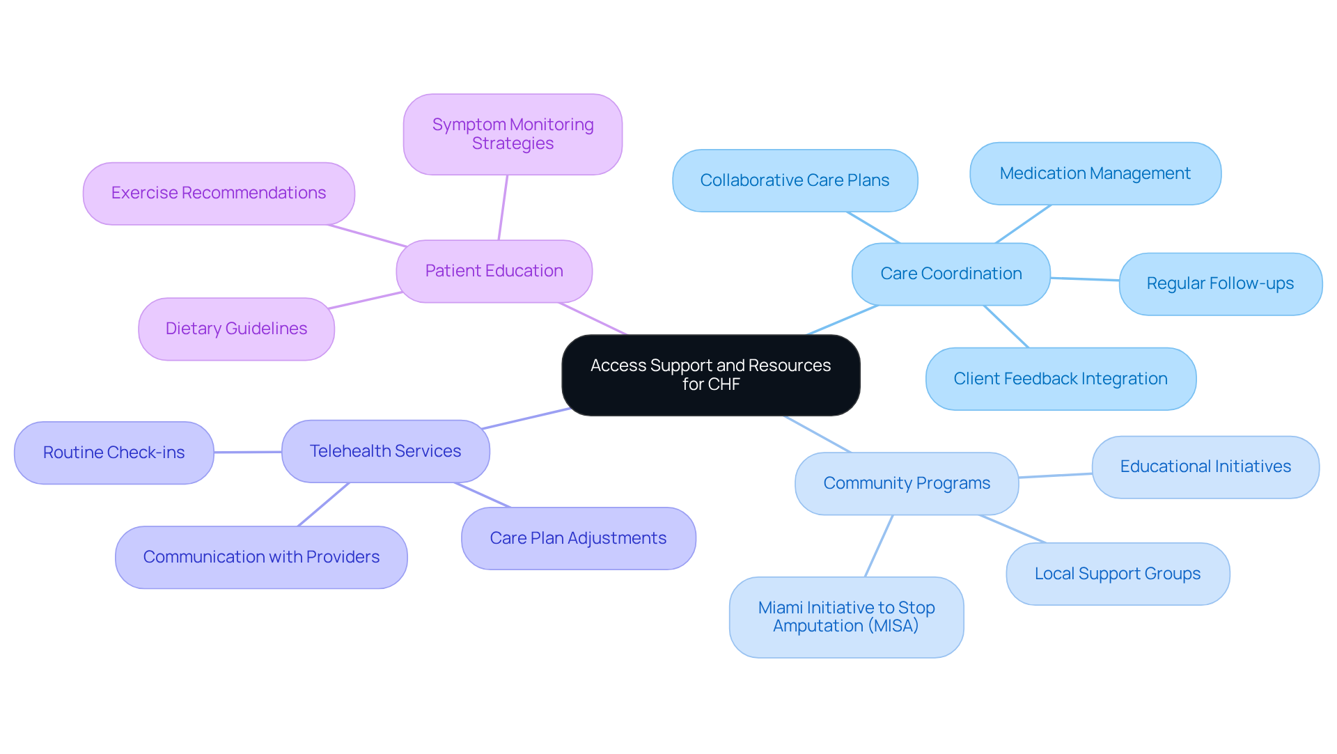 The central node represents the overall theme of accessing support for CHF. Each branch highlights a key area of focus, with further details available as sub-branches. This structure helps you understand how different resources work together to improve health outcomes. The central node represents the overall theme of accessing support for CHF. Each branch highlights a key area of focus, with further details available as sub-branches. This structure helps you understand how different resources work together to improve health outcomes.