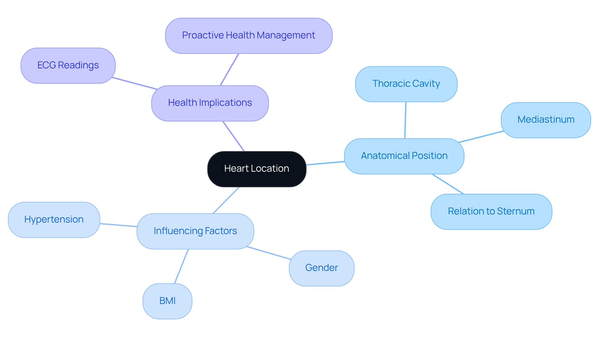 The central node represents the heart's location, with branches showing related anatomical details, factors that can influence its position, and the importance of this knowledge for health management.