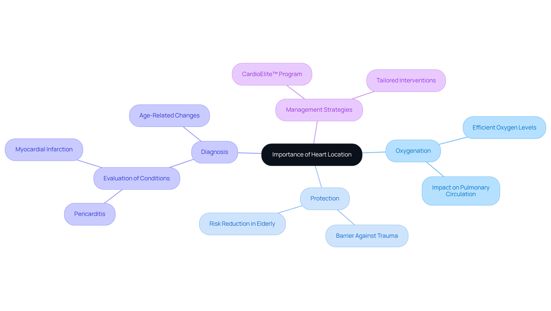 The central node represents the main topic, while the branches show related aspects of why the heart's location matters. Each color-coded branch helps you see how different factors connect to the heart's position and its implications for health. The central node represents the main topic, while the branches show related aspects of why the heart's location matters. Each color-coded branch helps you see how different factors connect to the heart's position and its implications for health.