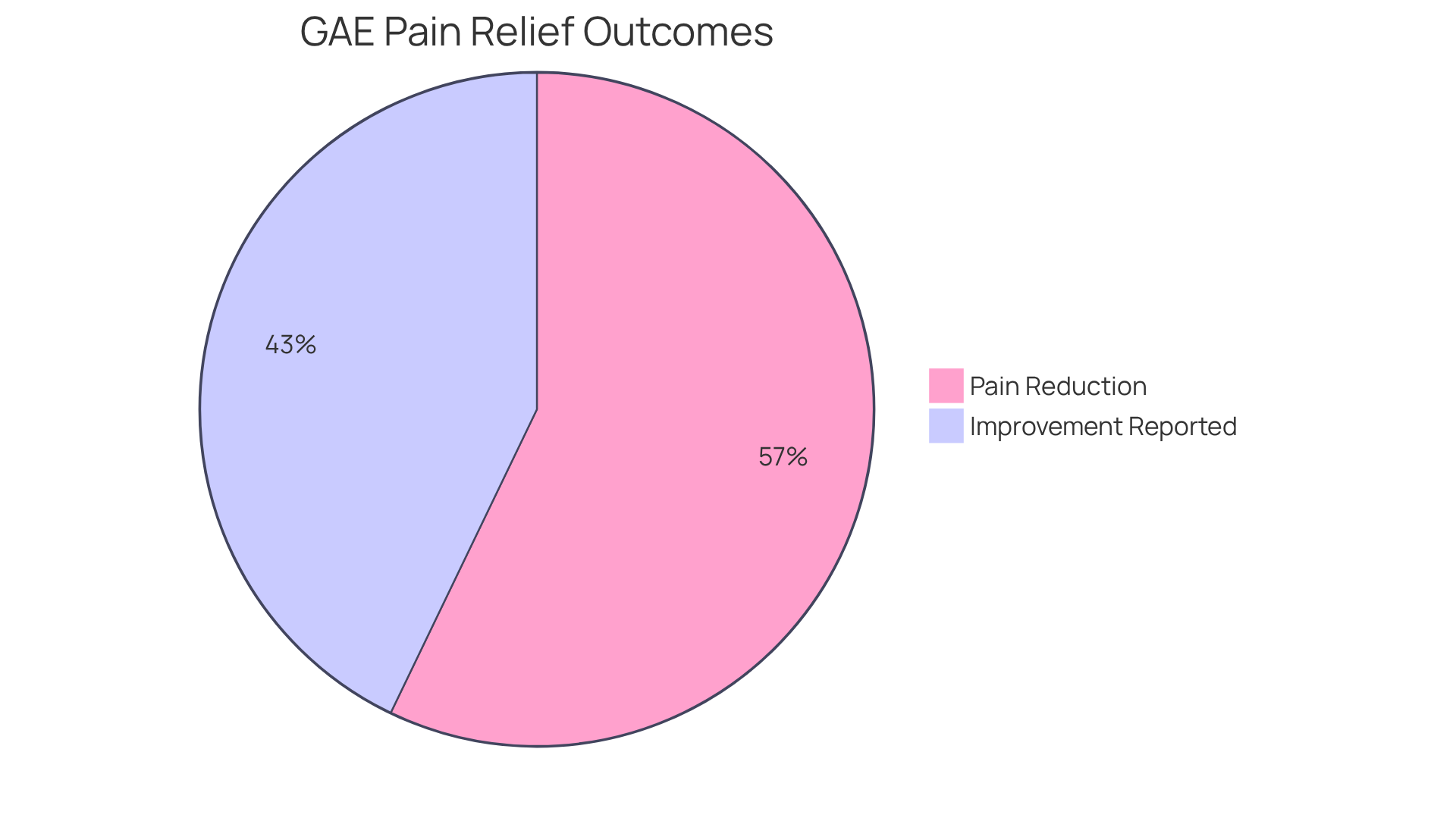 The blue slice shows the percentage of pain reduction experienced by osteoarthritis patients after GAE, while the green slice represents the percentage of participants who reported significant improvements in knee discomfort one year after the procedure. The blue slice shows the percentage of pain reduction experienced by osteoarthritis patients after GAE, while the green slice represents the percentage of participants who reported significant improvements in knee discomfort one year after the procedure.