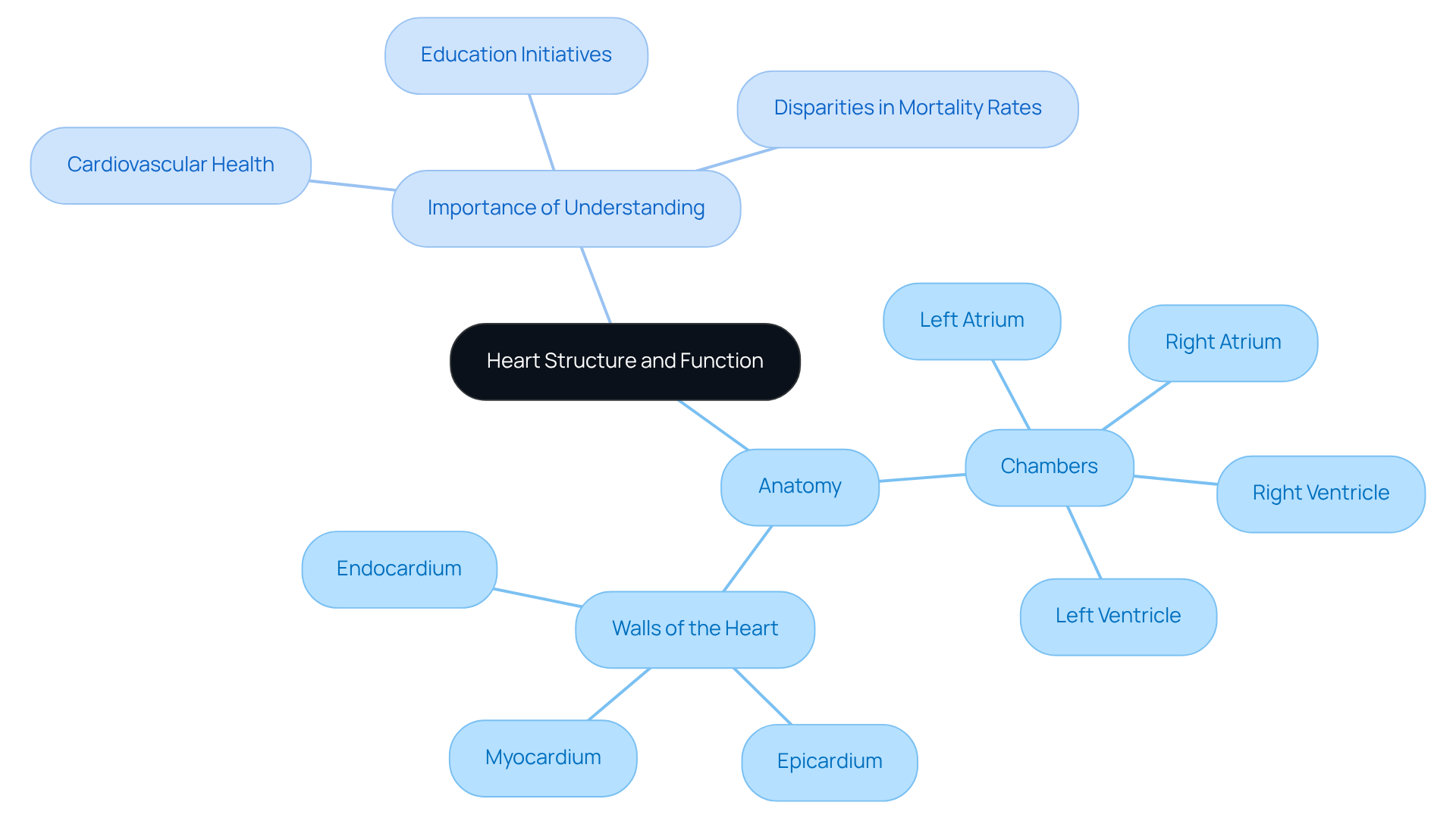 The central node represents the heart, with branches showing its anatomy and the importance of understanding it for health. Each color-coded branch helps you see how different aspects of the heart connect to overall cardiovascular wellness. The central node represents the heart, with branches showing its anatomy and the importance of understanding it for health. Each color-coded branch helps you see how different aspects of the heart connect to overall cardiovascular wellness.