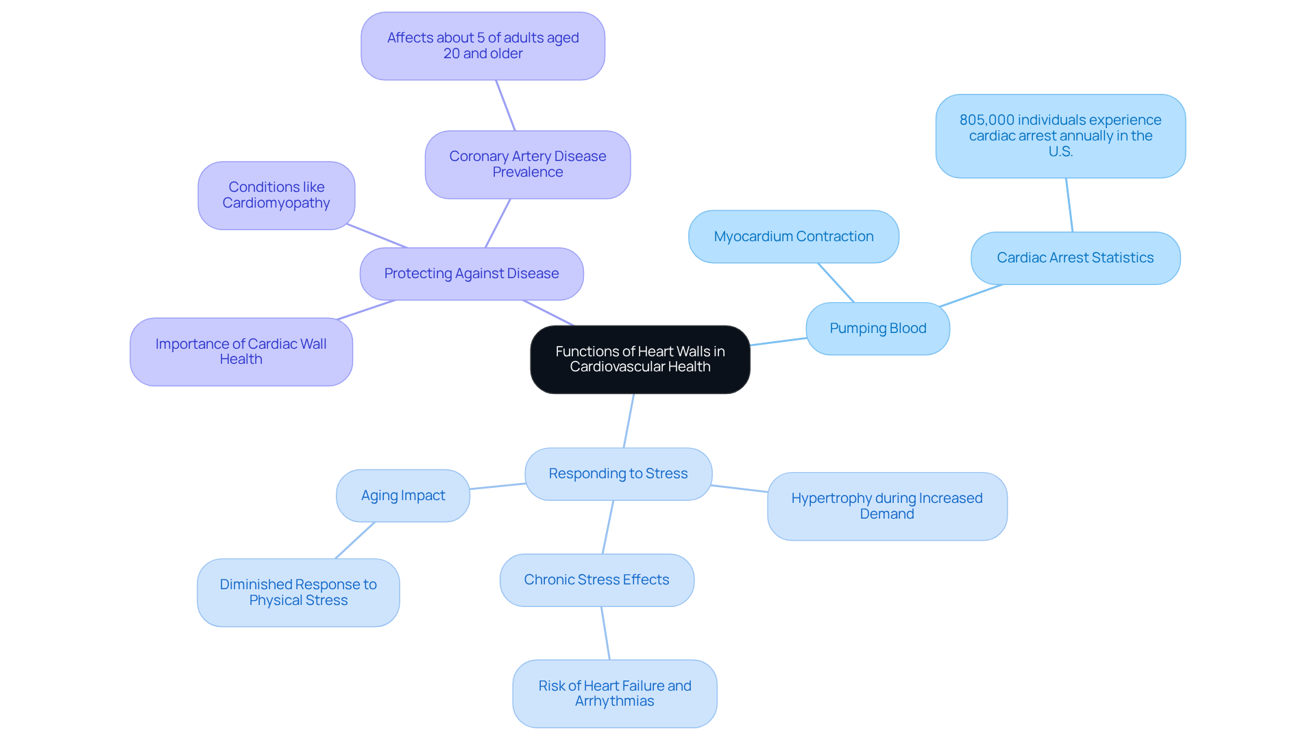 The central node represents the overall theme, while the branches show the specific functions of heart walls. Each sub-branch provides important details and statistics related to that function, helping you understand how they contribute to cardiovascular health. The central node represents the overall theme, while the branches show the specific functions of heart walls. Each sub-branch provides important details and statistics related to that function, helping you understand how they contribute to cardiovascular health.