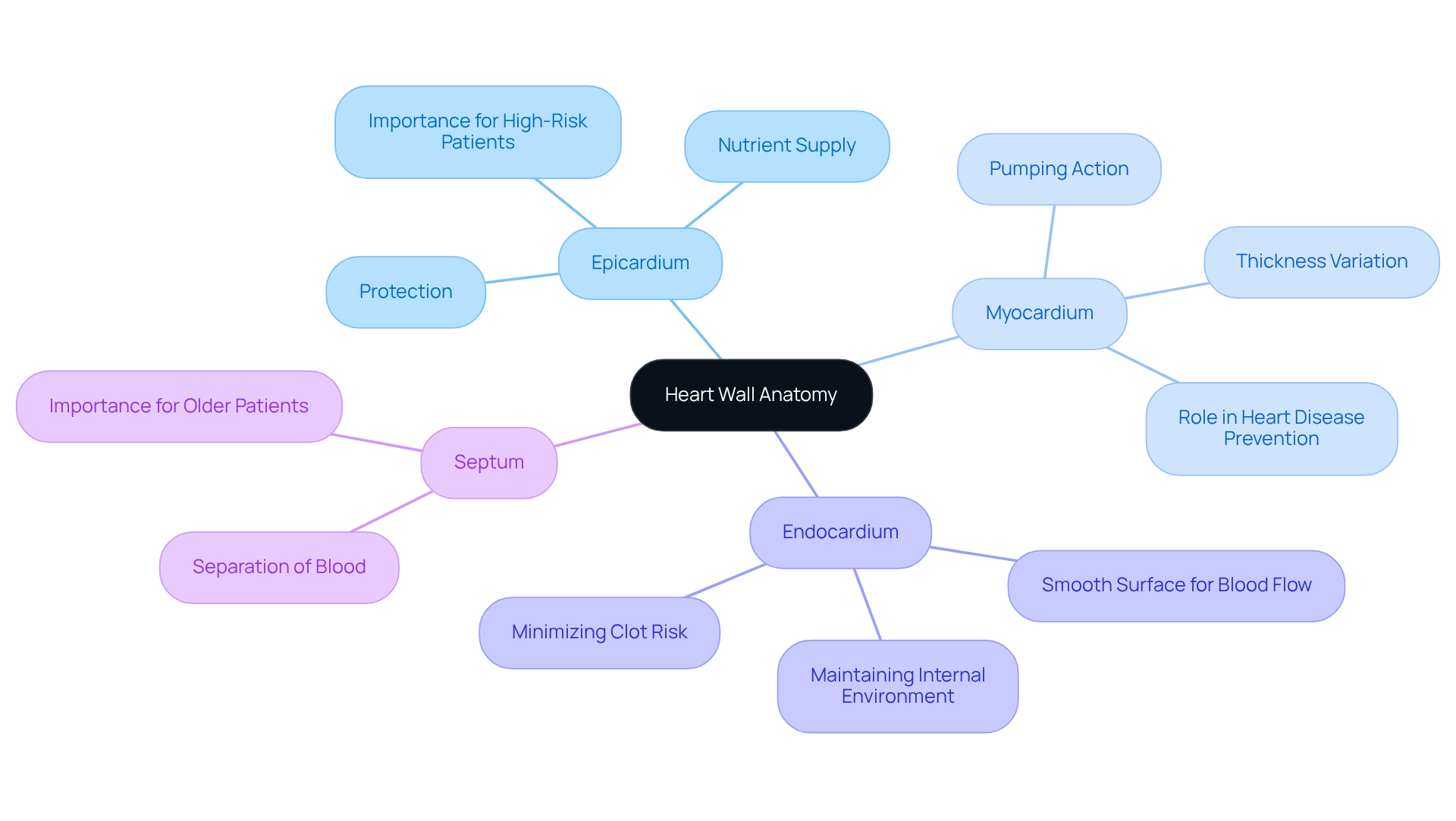 The central node represents the heart wall, while the branches show each layer and its specific functions. The colors help differentiate the layers, making it easier to understand their unique roles in cardiovascular health. The central node represents the heart wall, while the branches show each layer and its specific functions. The colors help differentiate the layers, making it easier to understand their unique roles in cardiovascular health.