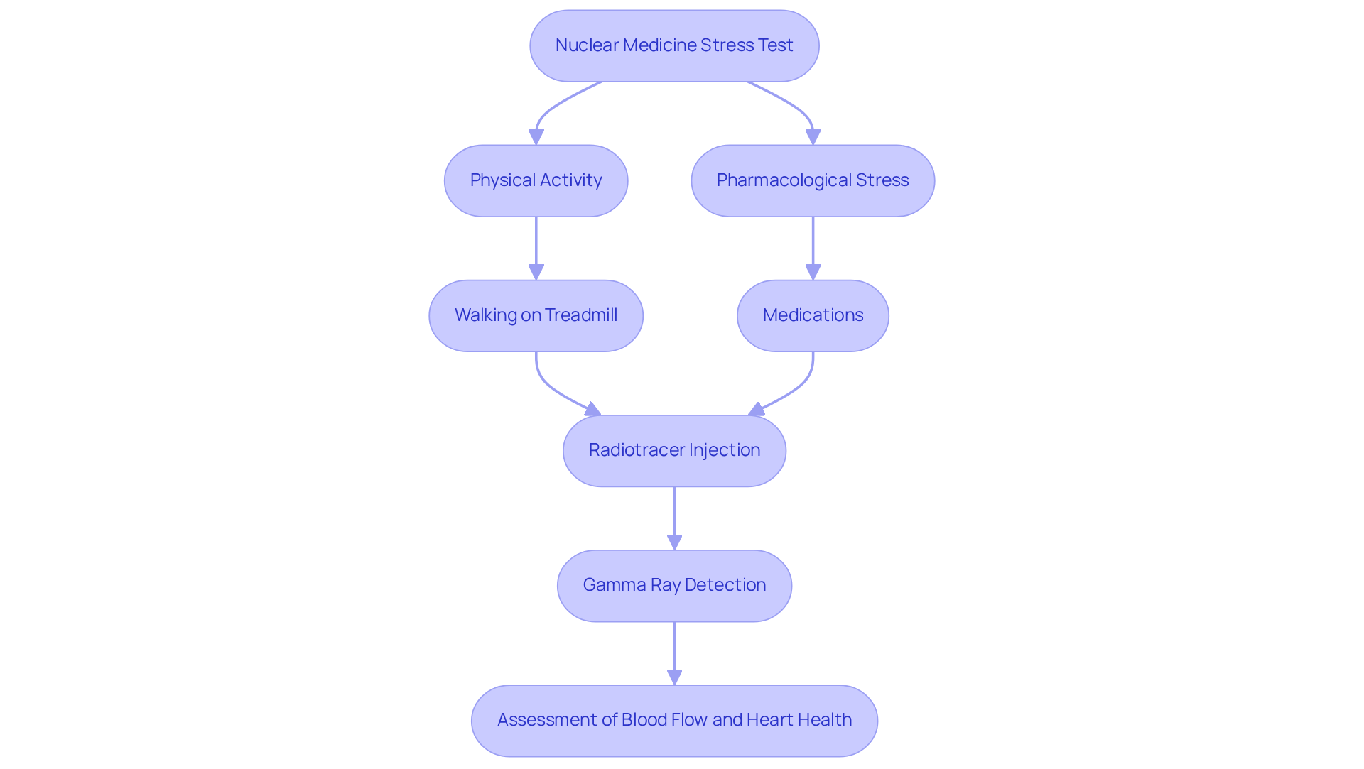 This flowchart outlines the steps involved in a nuclear medicine stress test. Follow the arrows to see how the test is performed, starting from the type of stress (physical or pharmacological) to the final assessment of heart health. This flowchart outlines the steps involved in a nuclear medicine stress test. Follow the arrows to see how the test is performed, starting from the type of stress (physical or pharmacological) to the final assessment of heart health.