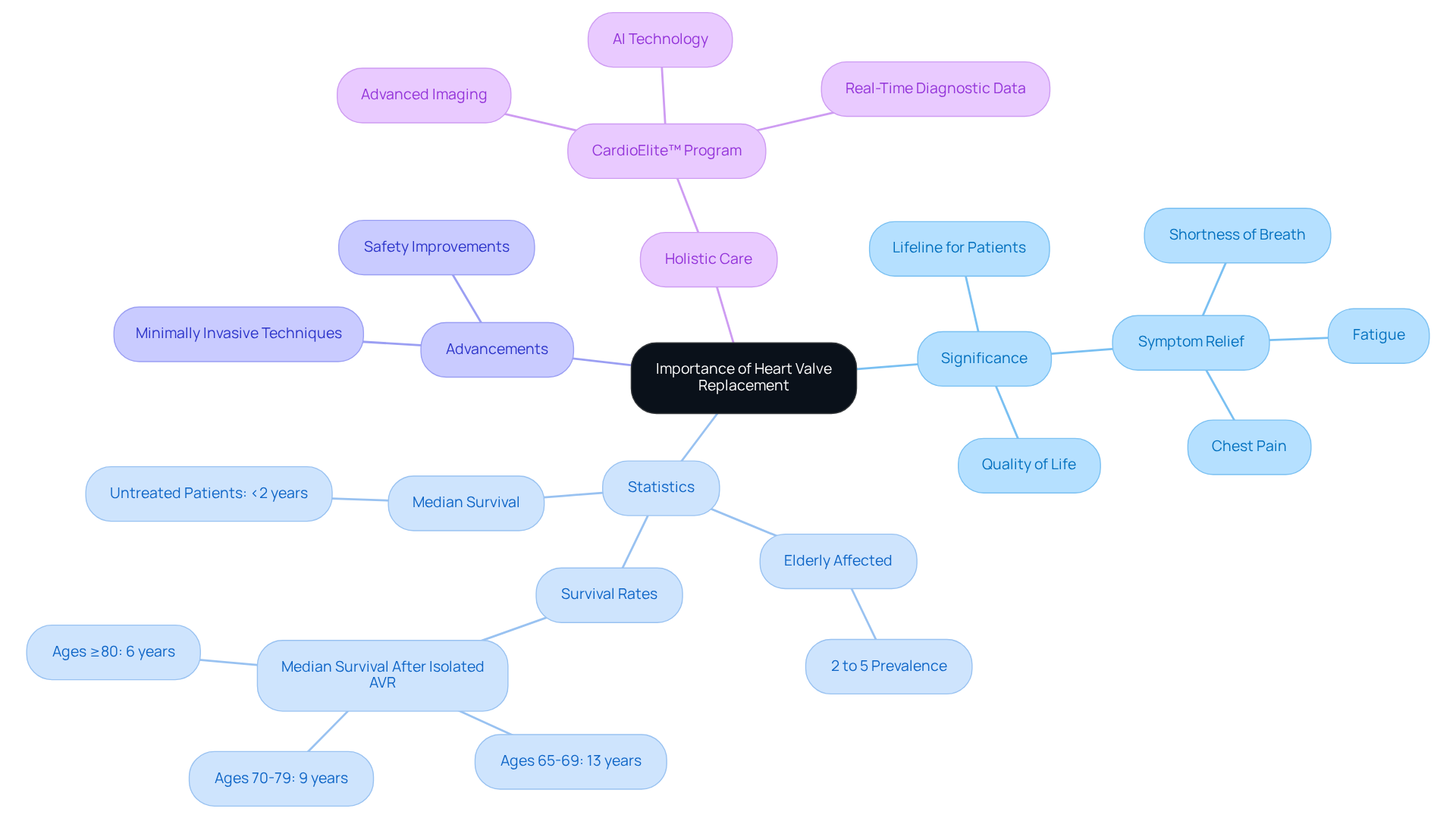 Start at the center with the main topic, then explore each branch to see how different aspects of heart valve replacement connect and contribute to patient care.