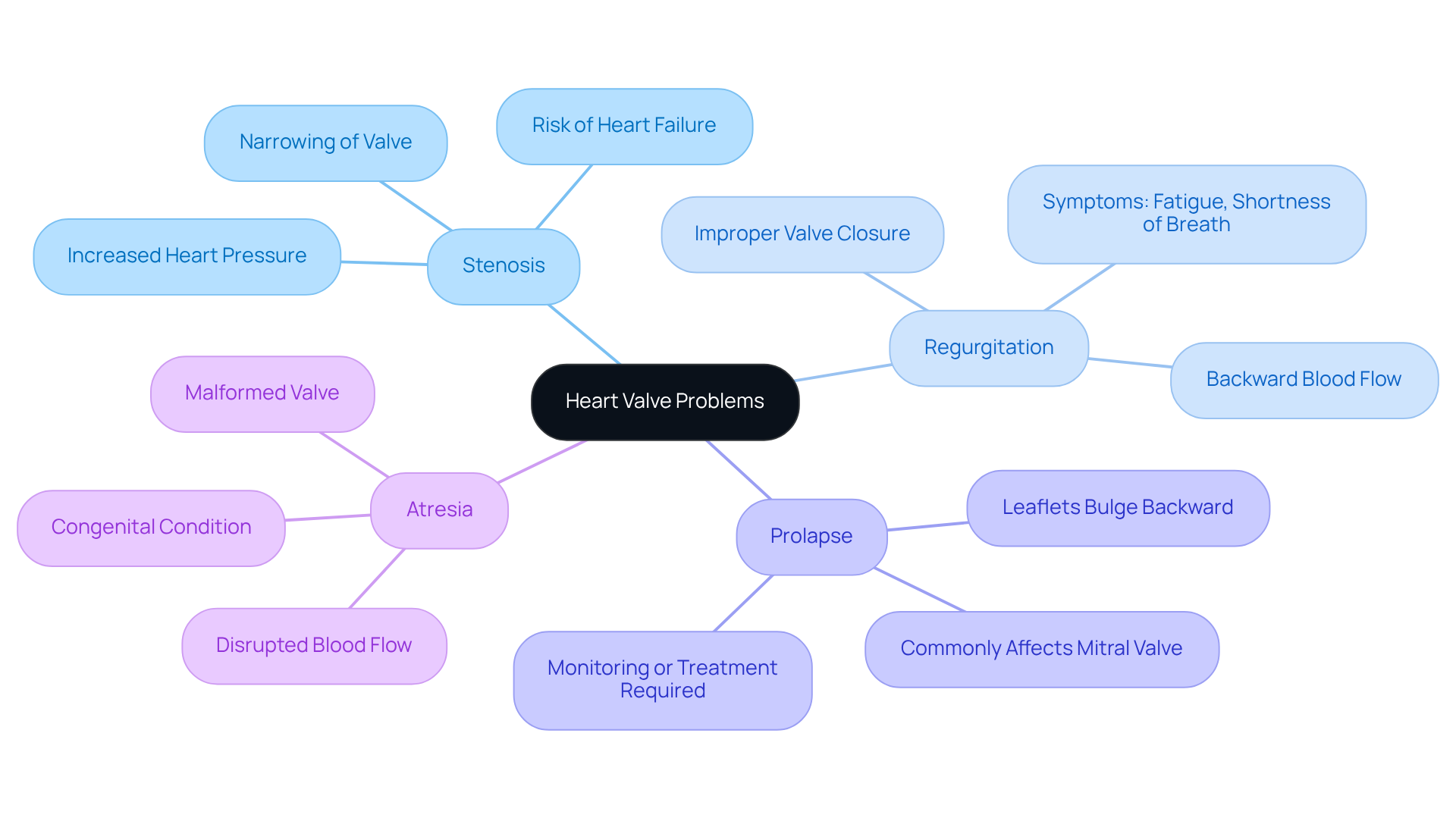 The central node represents heart valve problems, and each branch shows a specific type of issue. The sub-branches provide additional details about each condition, helping you understand their significance and symptoms.