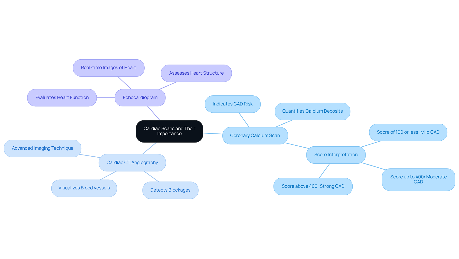 This mindmap starts with the central idea of cardiac scans and branches out into different types of scans. Each branch explains what the scan does and why it's important for heart health, especially for older adults. Follow the branches to see how each scan contributes to understanding and managing heart conditions. This mindmap starts with the central idea of cardiac scans and branches out into different types of scans. Each branch explains what the scan does and why it's important for heart health, especially for older adults. Follow the branches to see how each scan contributes to understanding and managing heart conditions.