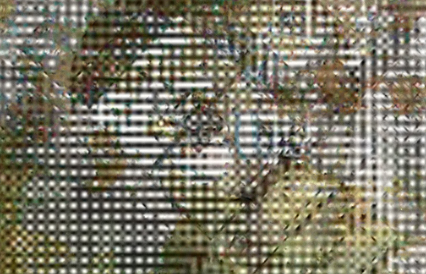 [background image] comforting setting (for a cemeteries & funeral home)