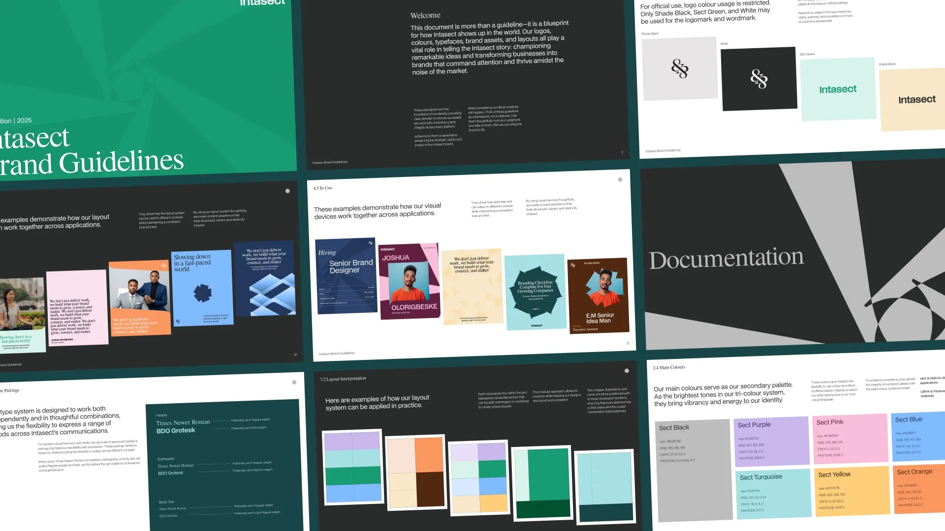 Brand guideline slide for Intasect