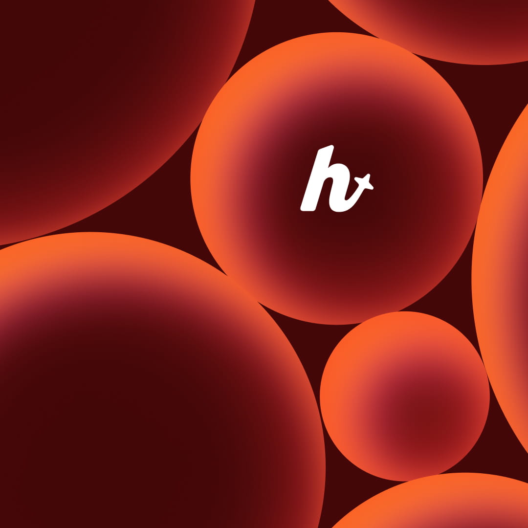 A visual from the Havyn project