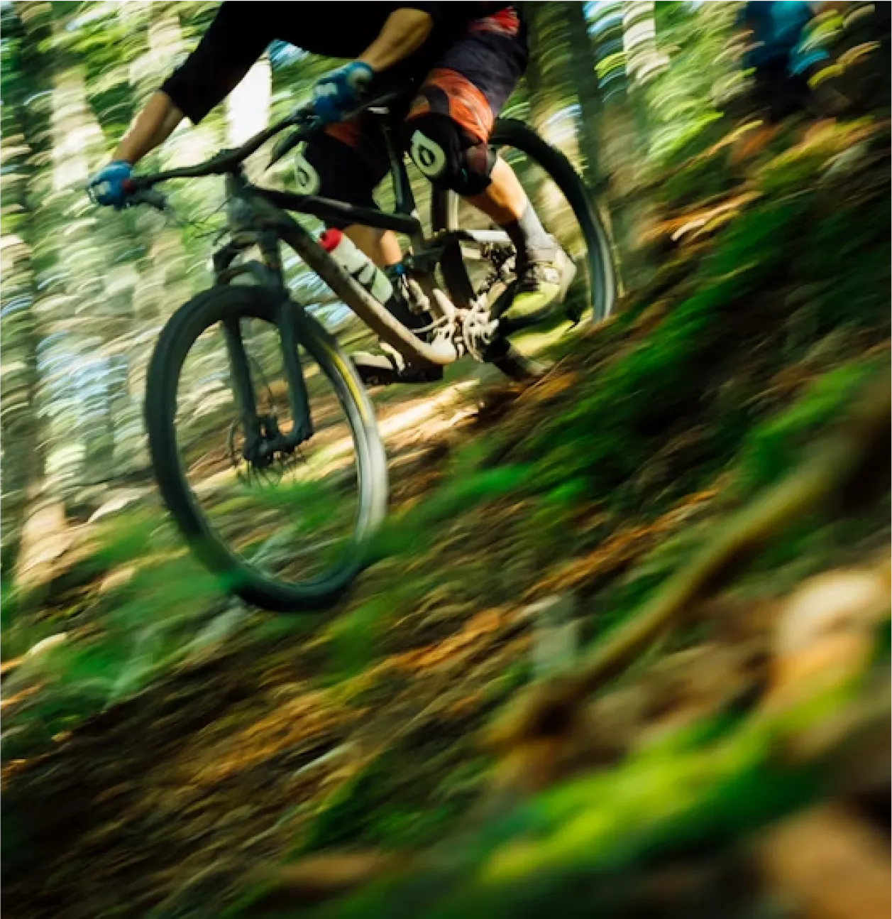 Vélo de montagne, descente en sentier