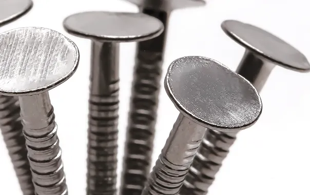 Close-up of several silver metal screws with flat round heads against a white background.