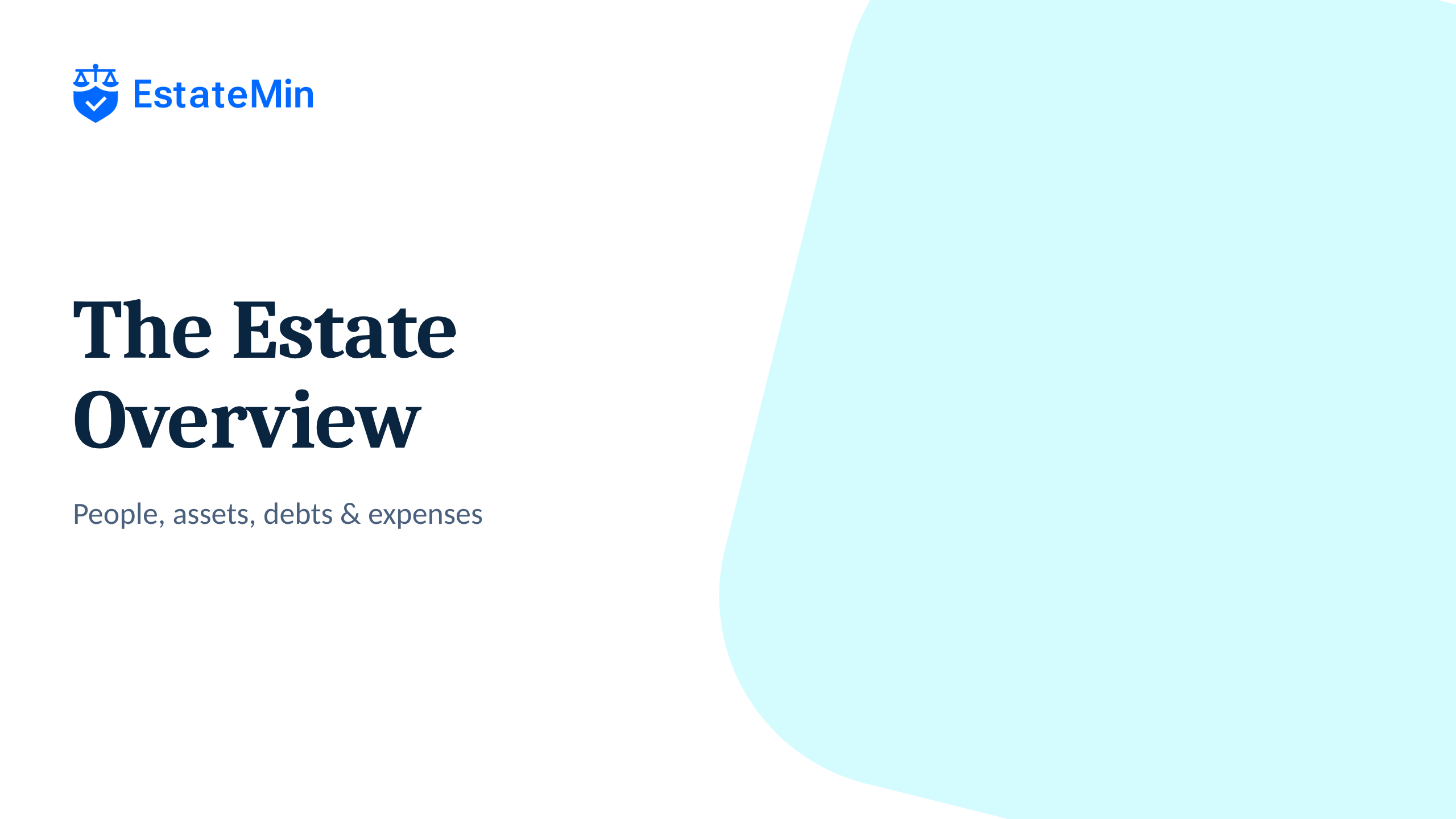 3. The Estate Overview