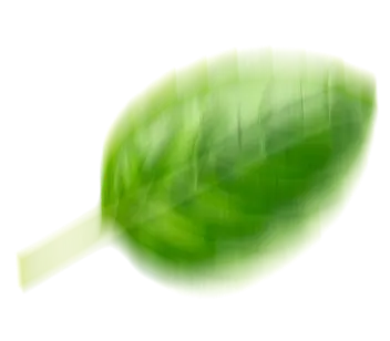 épinards
