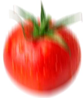 tomato