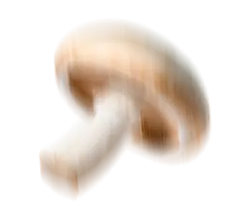 champenois
