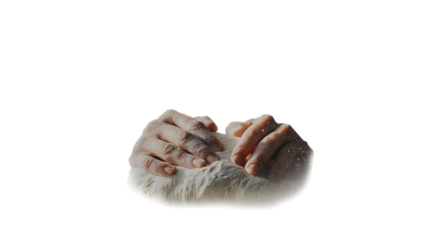 pâte fraîche Pizza Olipico