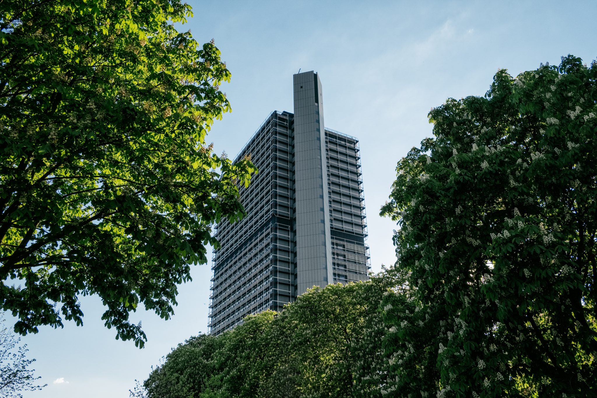 Construção sustentável em foco: O que a COP30 ensina ao mercado imobiliário