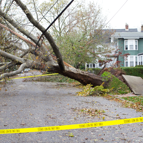 Storm Damage Restoration Services | Utah Home Restoration