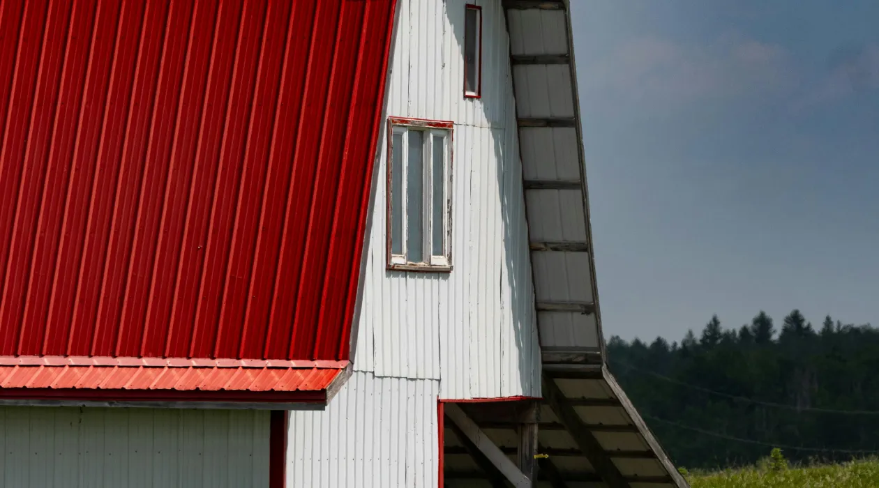 Power-Rib Steel Roofing on Barn Red