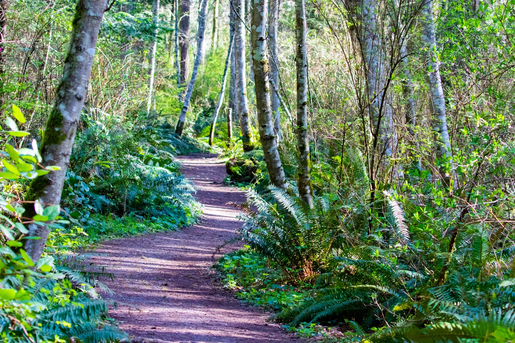 Cama State Park Hiking Path