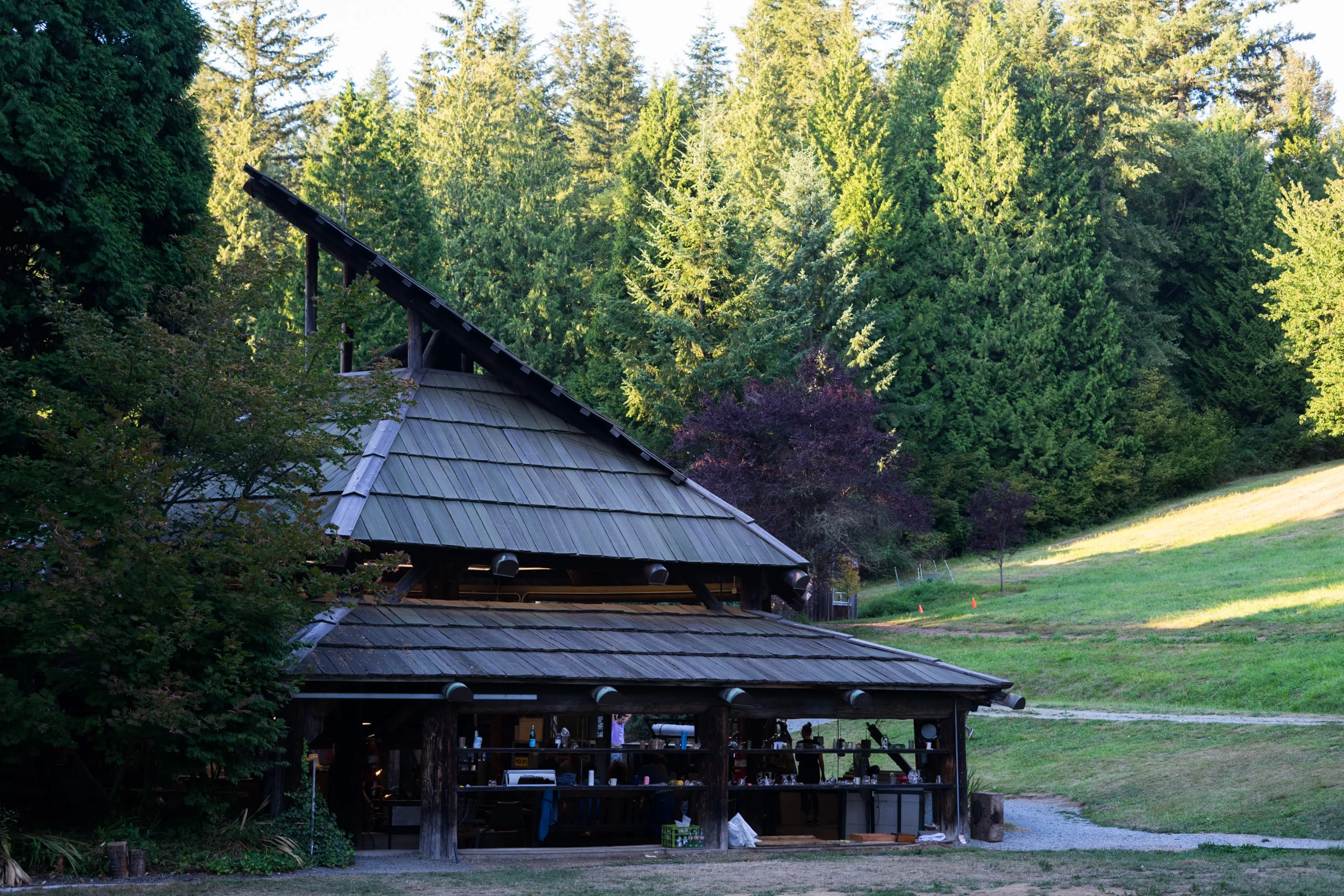 Wooden shelter behind trees
