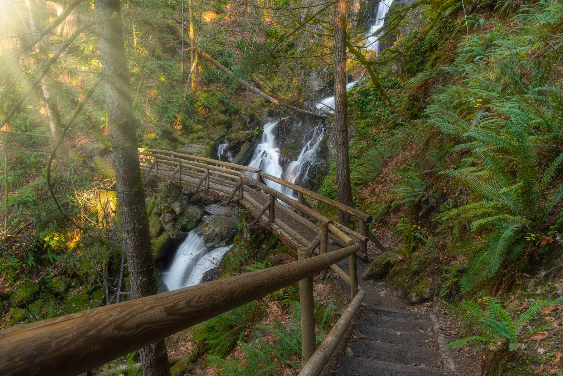 Nature trail