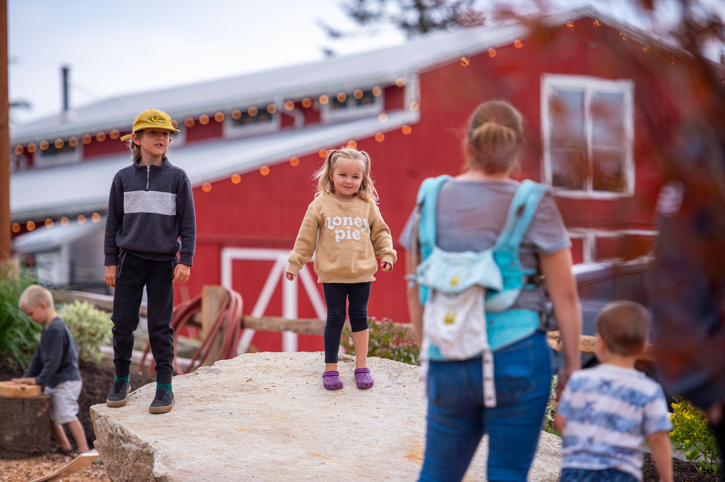 Families gather around a big red barn at Camano Island.