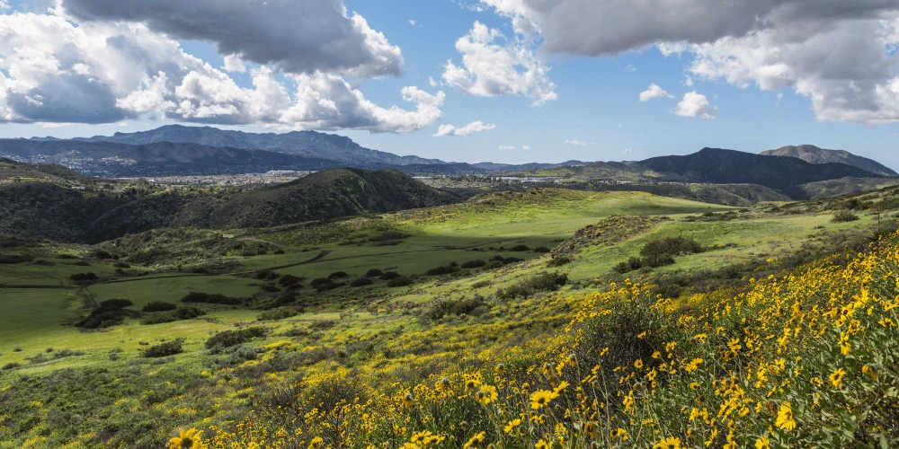Residential street with oak trees and hillsides in Thousand Oaks, California
