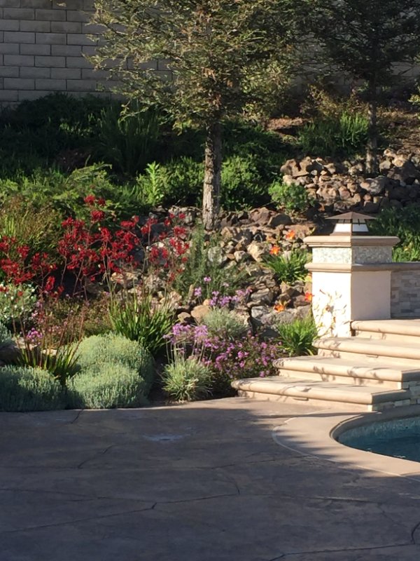 Expert Front yard Landscaping Services by Jessie Flores Landscape Co. in Thousand Oaks, CA