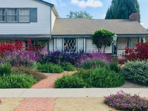 Well-maintained front yard with drought-tolerant plants, a curved walkway, and trimmed hedges.