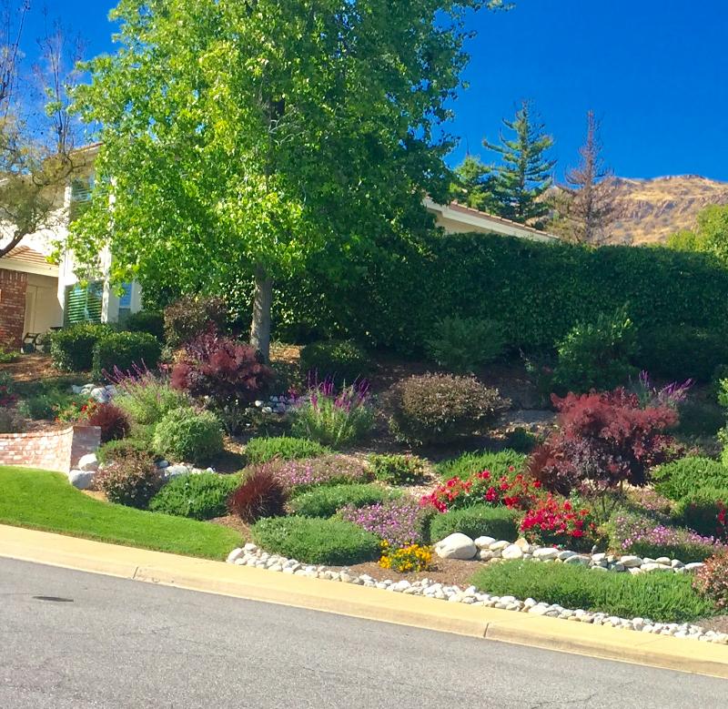 Drought-Tolerant Front Yard Landscaping by Jessie Flores Landscape Co. in Thousand Oaks, CA
