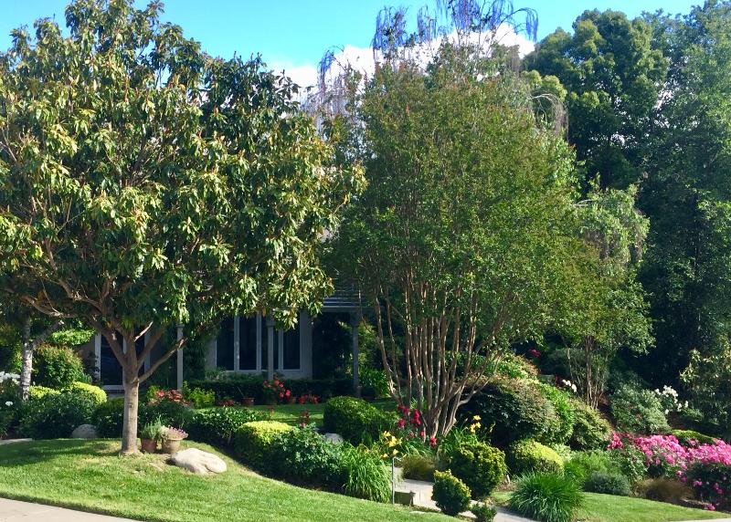 Custom Front Yard Landscaping Design by Jessie Flores Landscape Co. in Thousand Oaks, CA