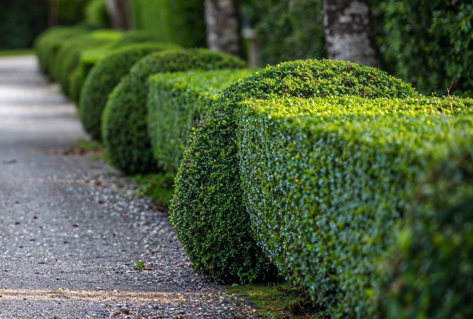 How to Prepare Your Yard for Spring Growth in Thousand Oaks