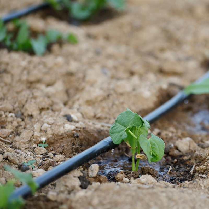 The Benefits of Installing a Drip Irrigation System in Thousand Oaks