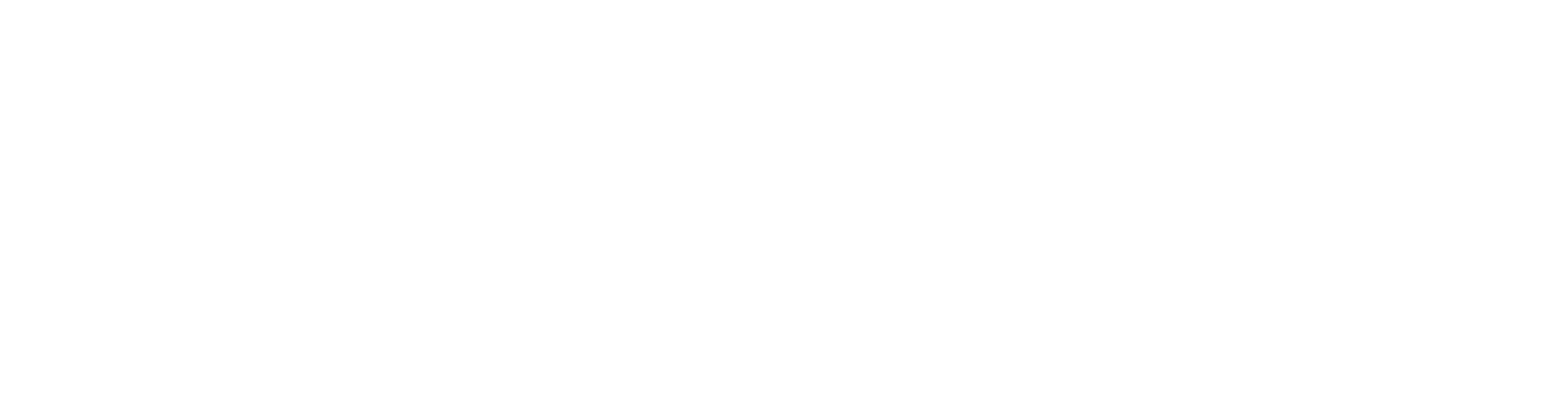 Logo Kashin