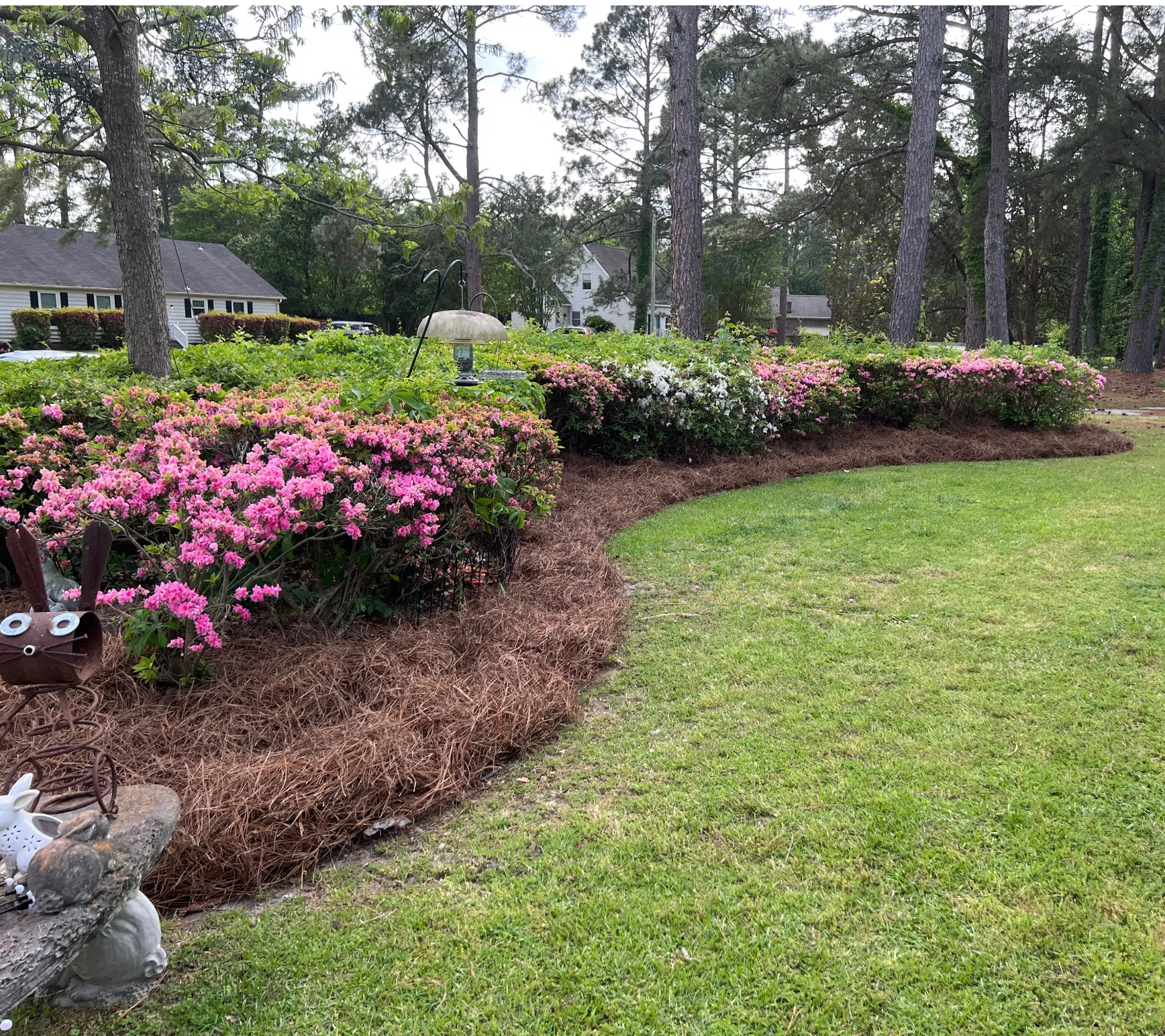 A freshly cut lawn with a garden bed that has been mulched with flowers planted