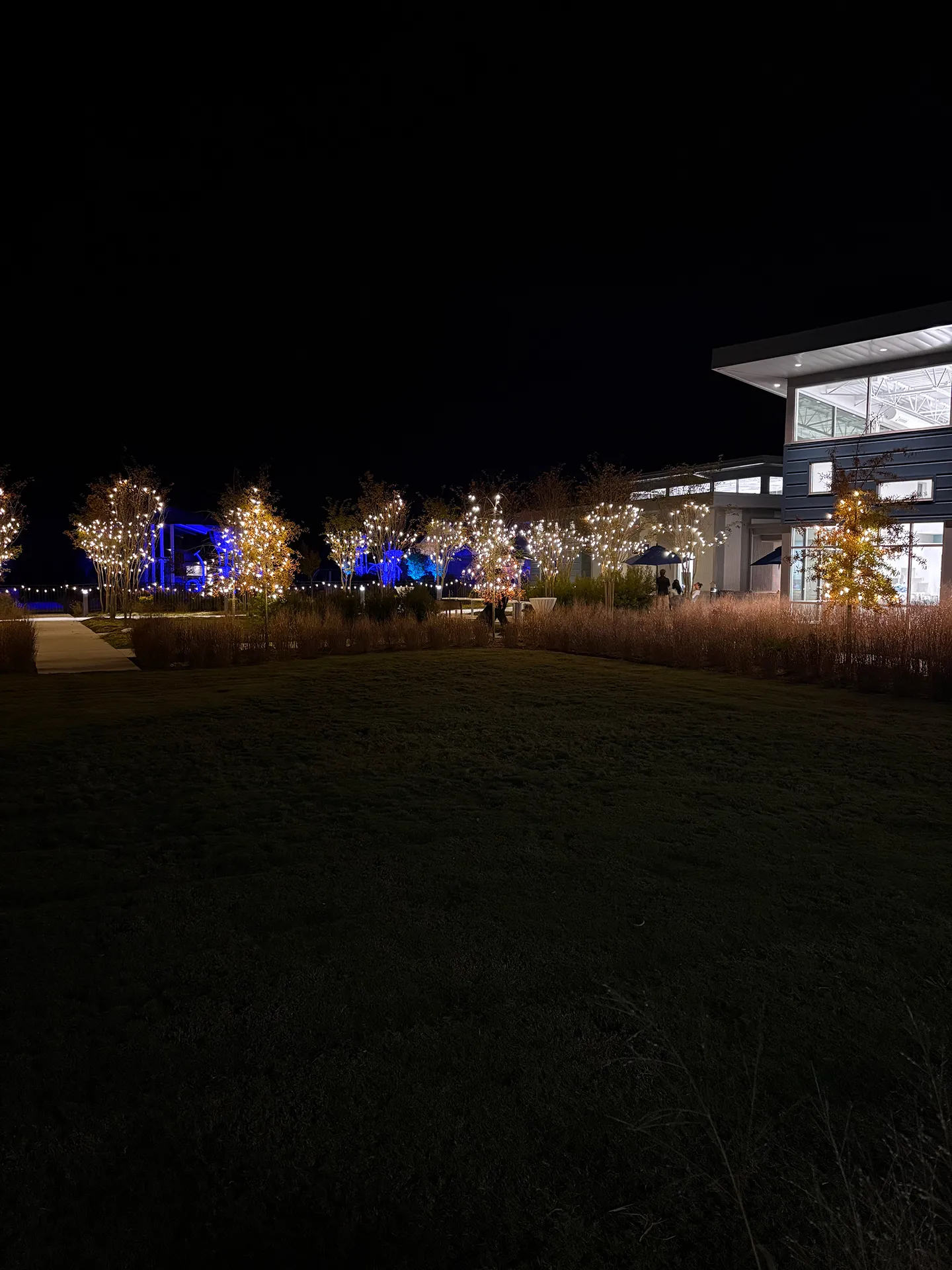 The land surrounding a business have tress and other landscapes that are lit by Christmas lights
