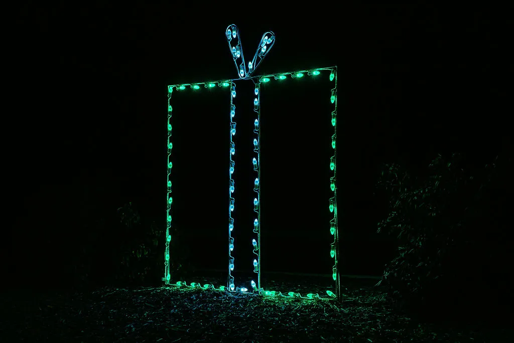 Outdoor Christmas light display in Greenville, NC shaped like a rectangular gift box with a bow on top, outlined in blue and green lights against a dark background.
