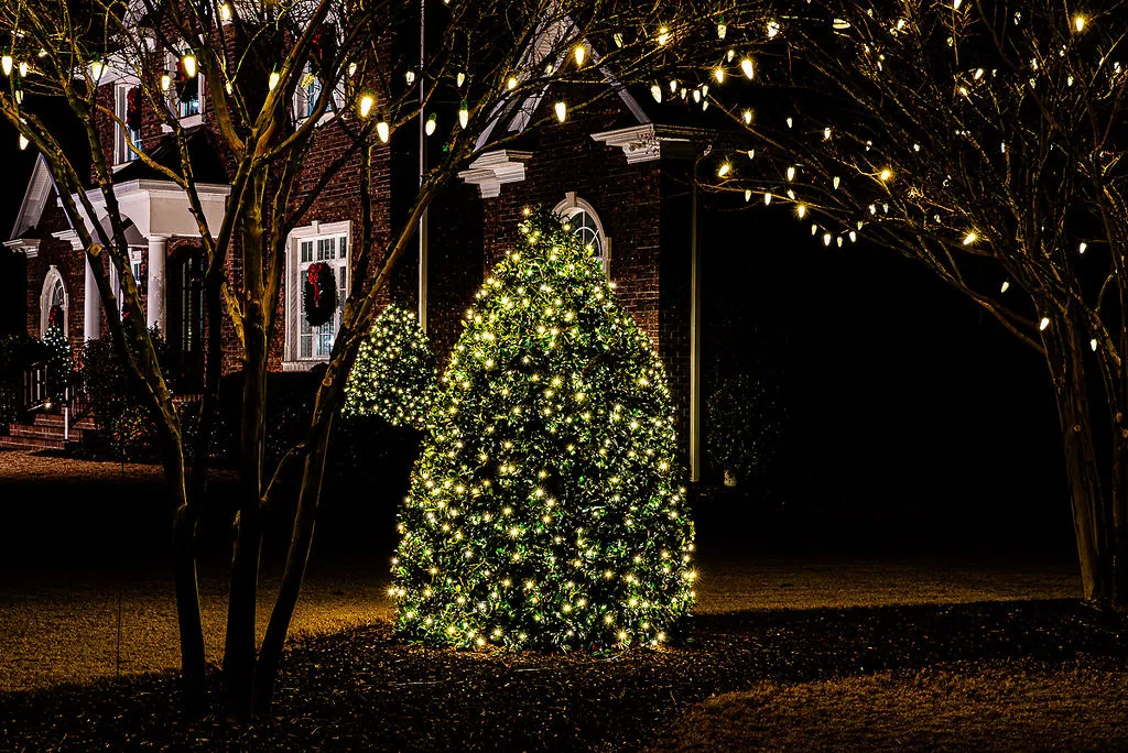 Shrubs and tree branches decorated with warm white string Christmas lights installed by Walston Evans Home Services in front of a brick house with windows adorned by wreaths with red bows at night.