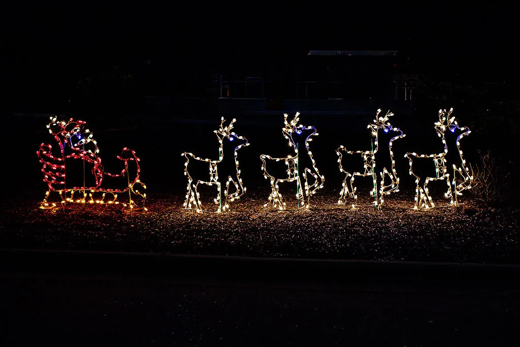 Ayden, NC Holiday light display installed by Walston Evans Home Services featuring a red Santa sleigh and four white reindeer with blue nose lights on dark ground at night.