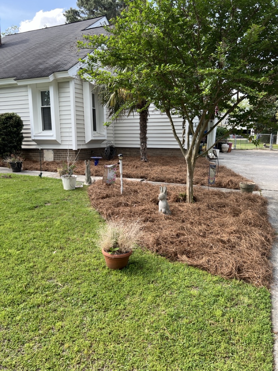 fresh mulch in a garden bed with a tree