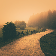 Image of a curvy paths