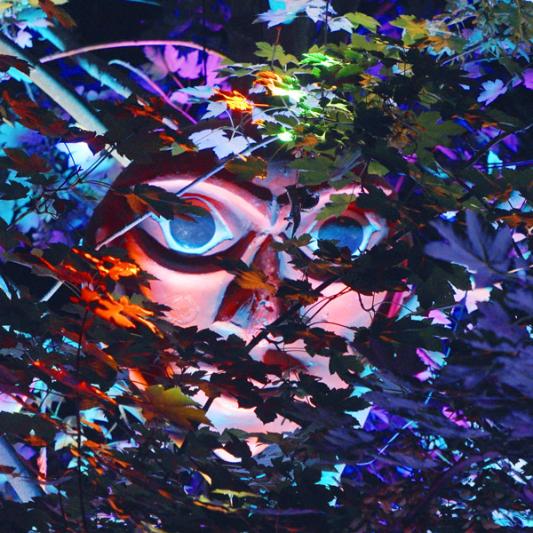 Innerlight Festival 2025 - Musik, Yoga, Stille - Kamera und Schnitt für Trailer Video