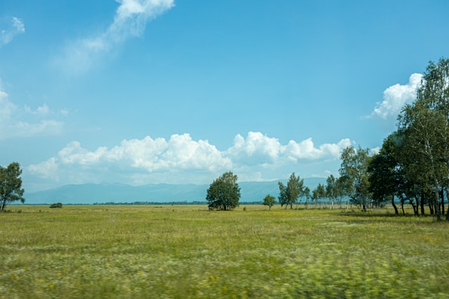 Bright blue sky with grass and trees