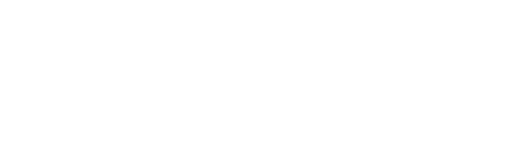 logo Raisely