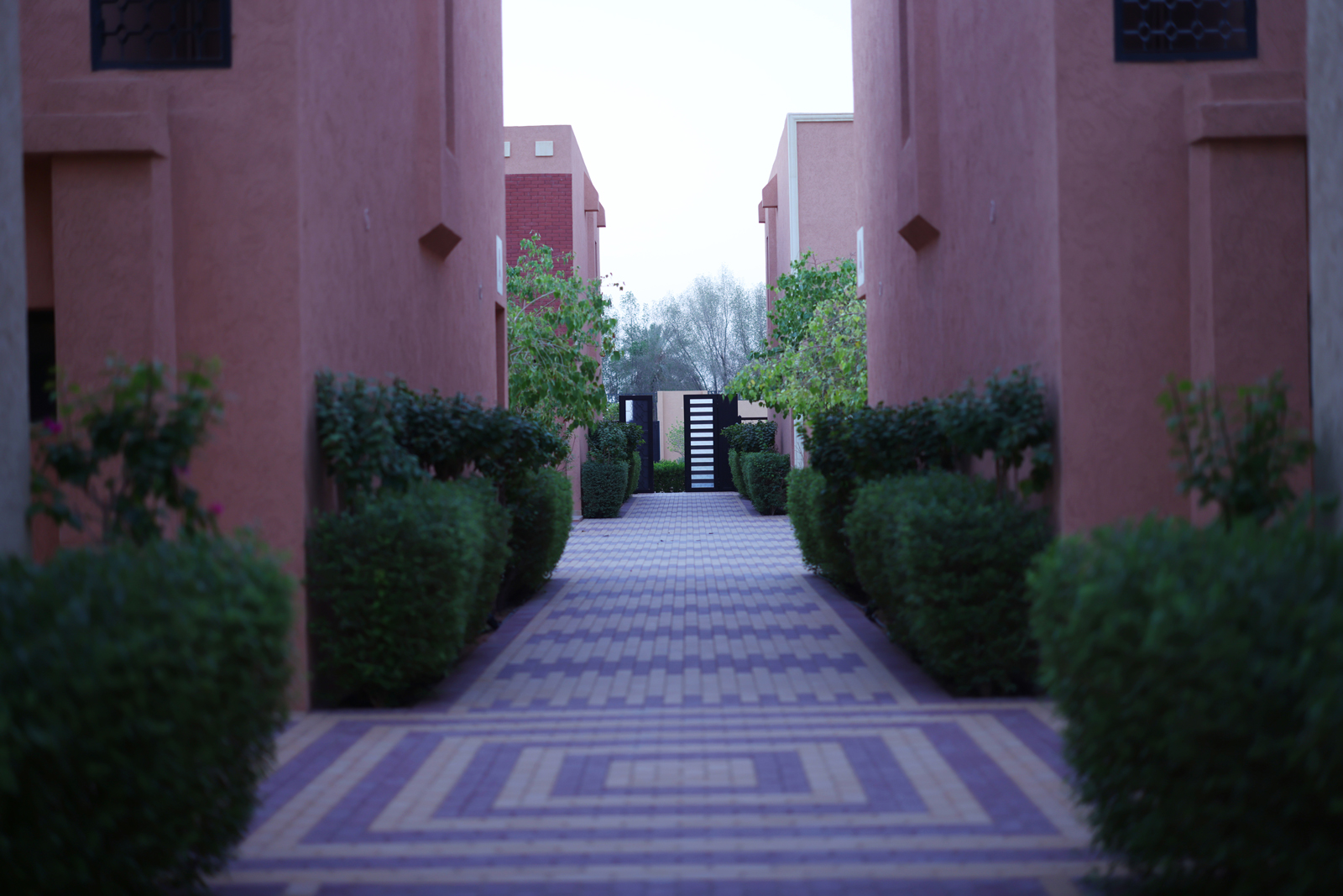 Landscaped pathway between residential villas at Creative Hospitality Compound in Saudi Arabia